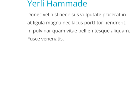 Yerli Hammade Donec vel nisl nec risus vulputate placerat in at ligula magna nec lacus porttitor hendrerit. In pulvinar quam vitae pell en tesque aliquam. Fusce venenatis. itle Example Donec vel nisl nec risus vulputate placerat in at ligula magna nec lacus porttitor hendrerit. In pulvinar quam vitae pell en tesque aliquam. Fusce venenatis.
